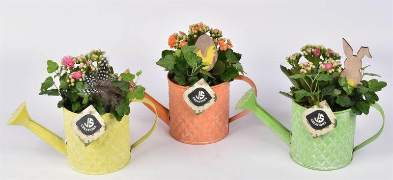 Zink gieter mix kleuren 11cm, D 11