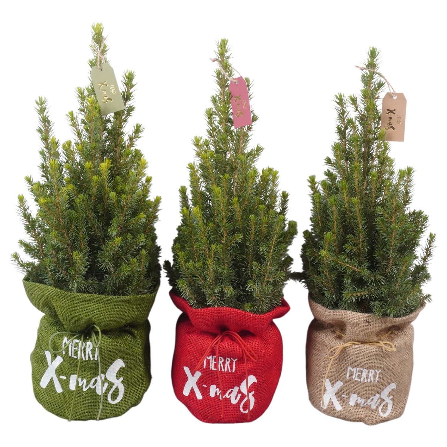 PTK26343 Conica Perfecta in jute mix met decoratie, D 13