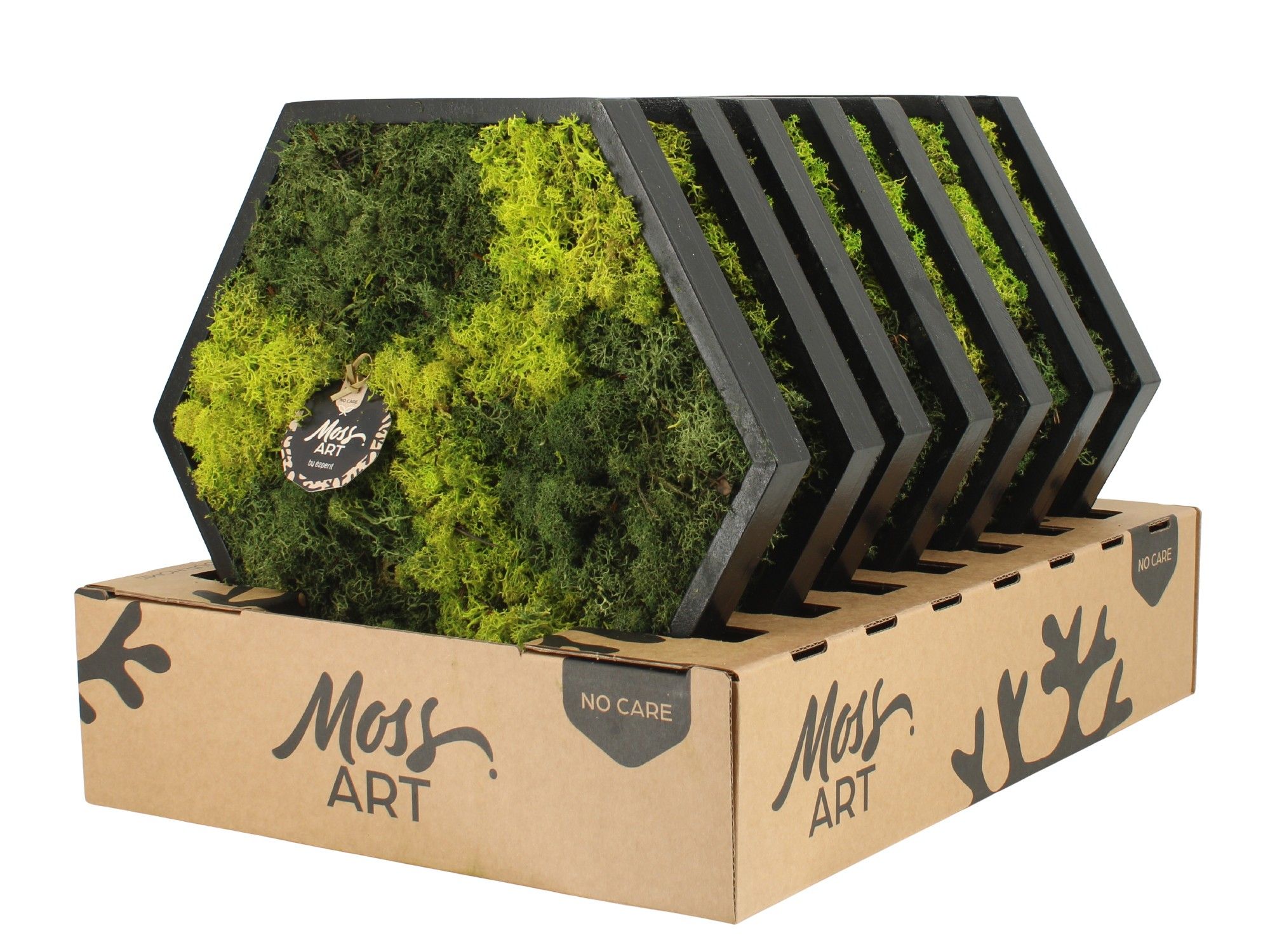 90780: Moss Art Hexagonal D38, D 38 cm