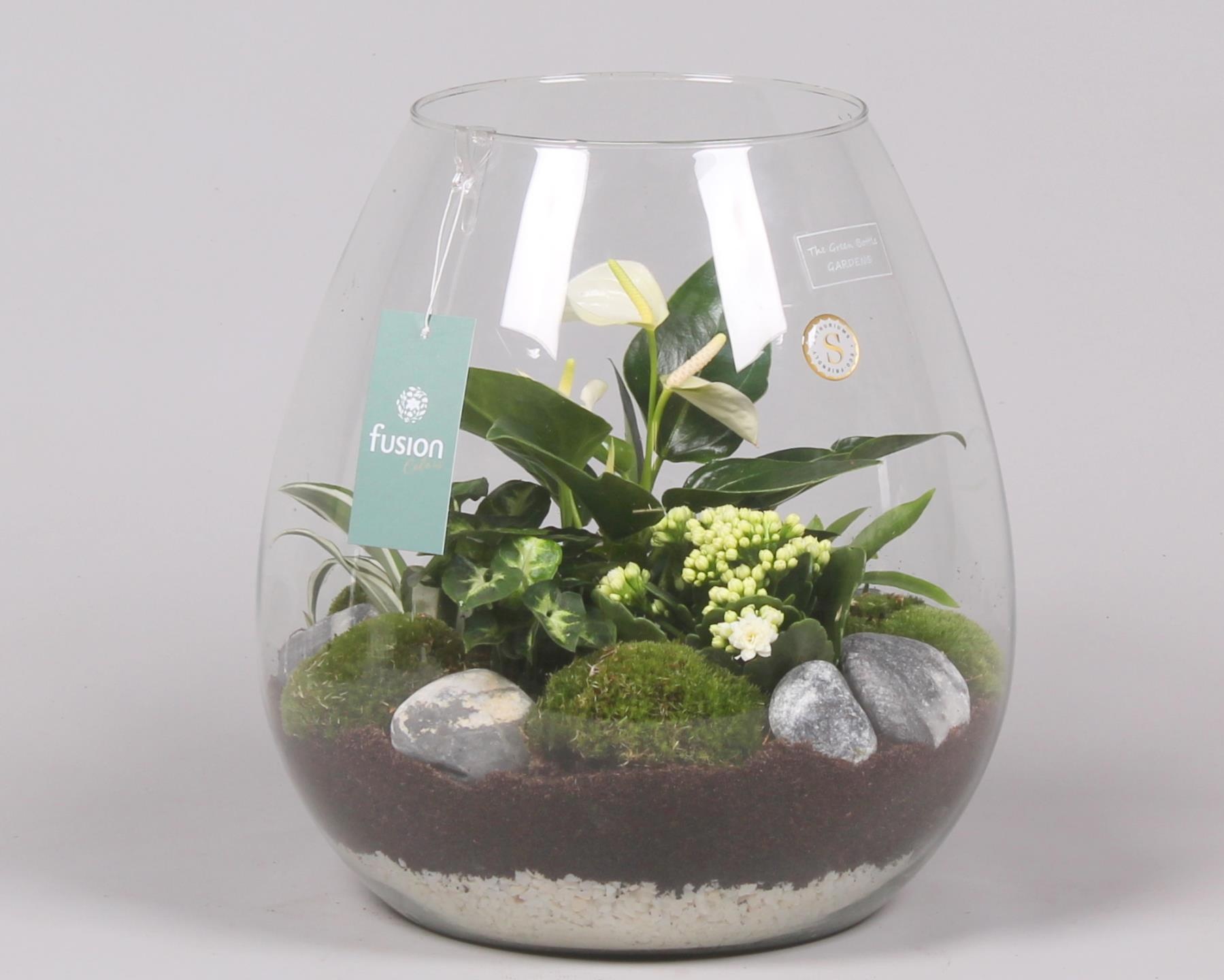 Green Bottle Abby XLarge met Groen Planten Arrrangement, D 29