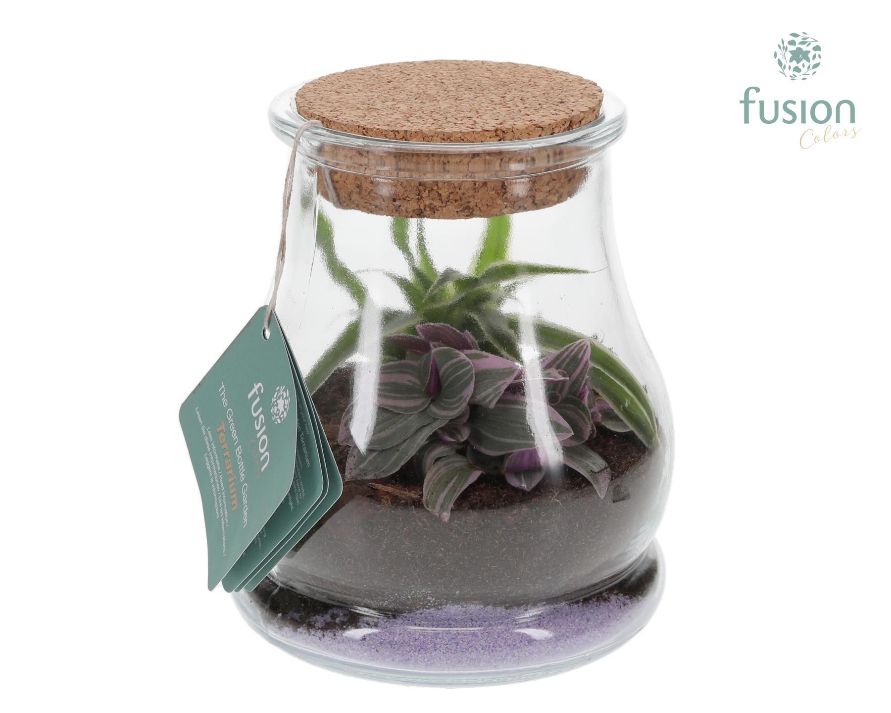 Glas Druppel met Terrarium Arrangement, D 16