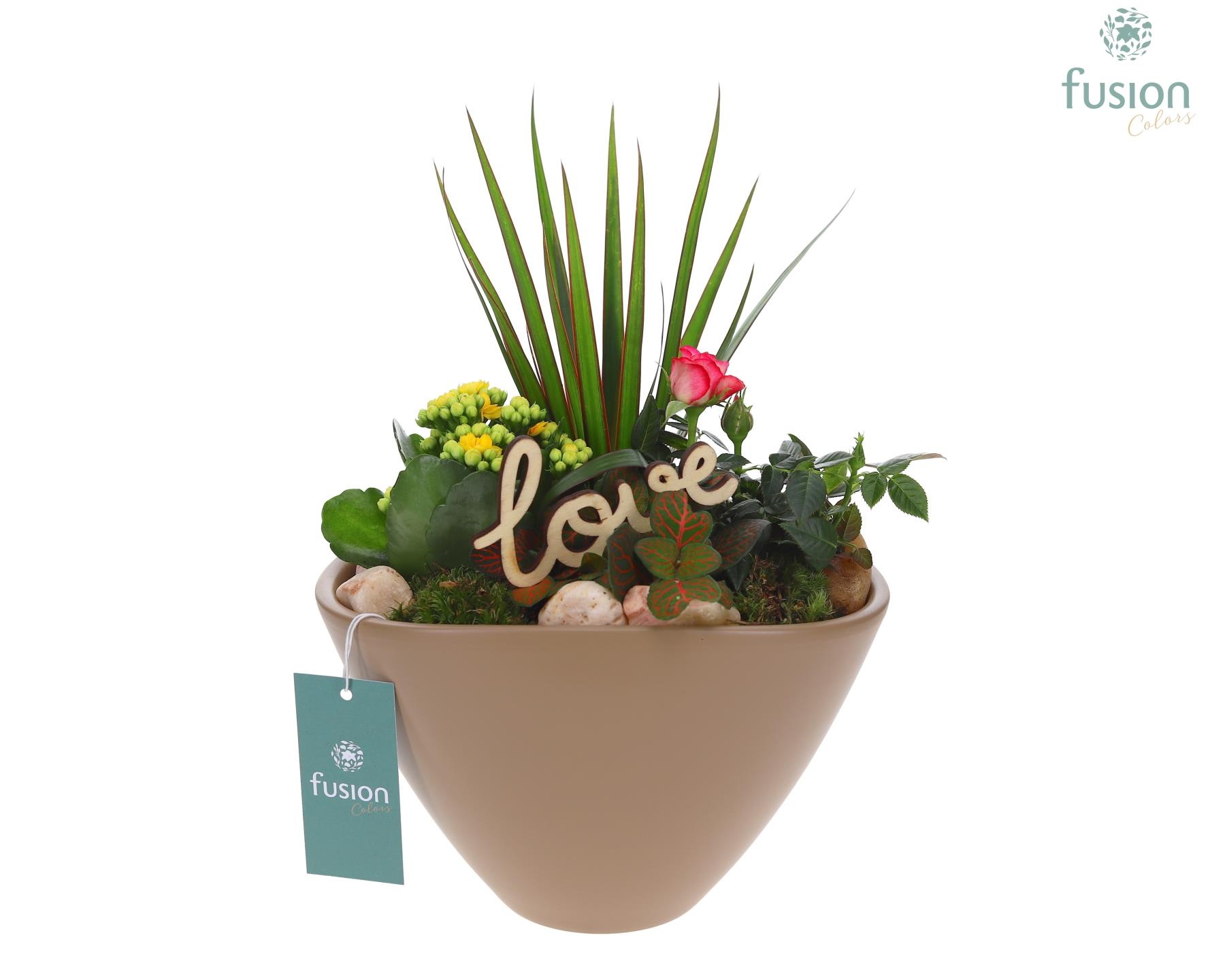 Pot keramiek Oval Large beige Love met arrangement, D 21