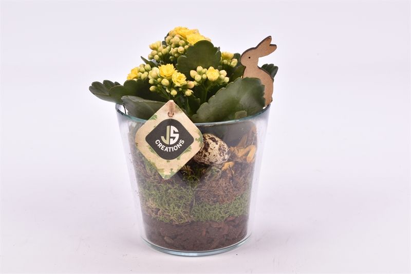 Glas potje 13 cm, D 12