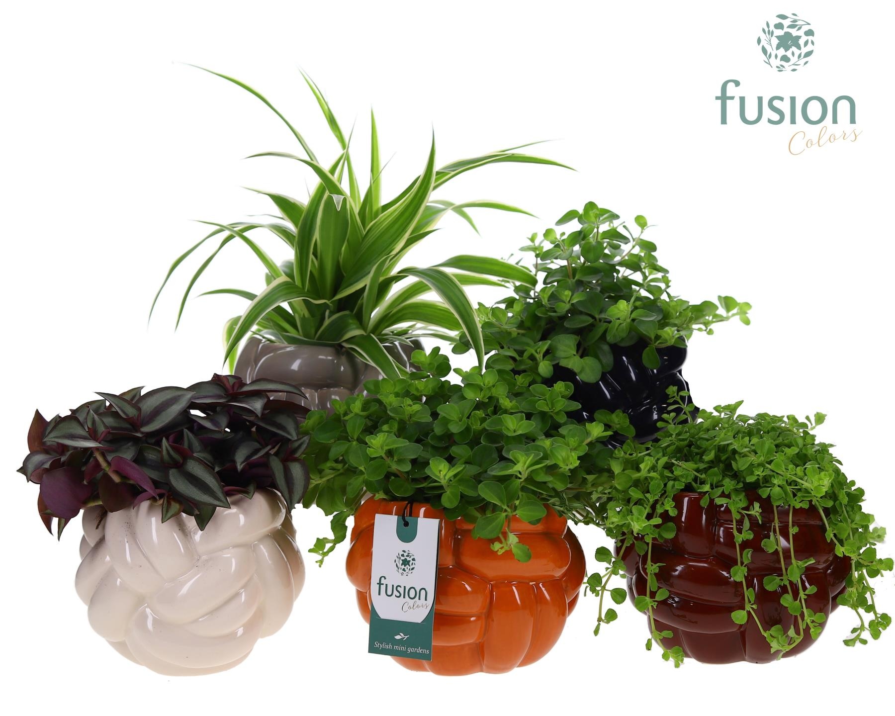 Keramiek pot Medium met Groen planten mix, D 14