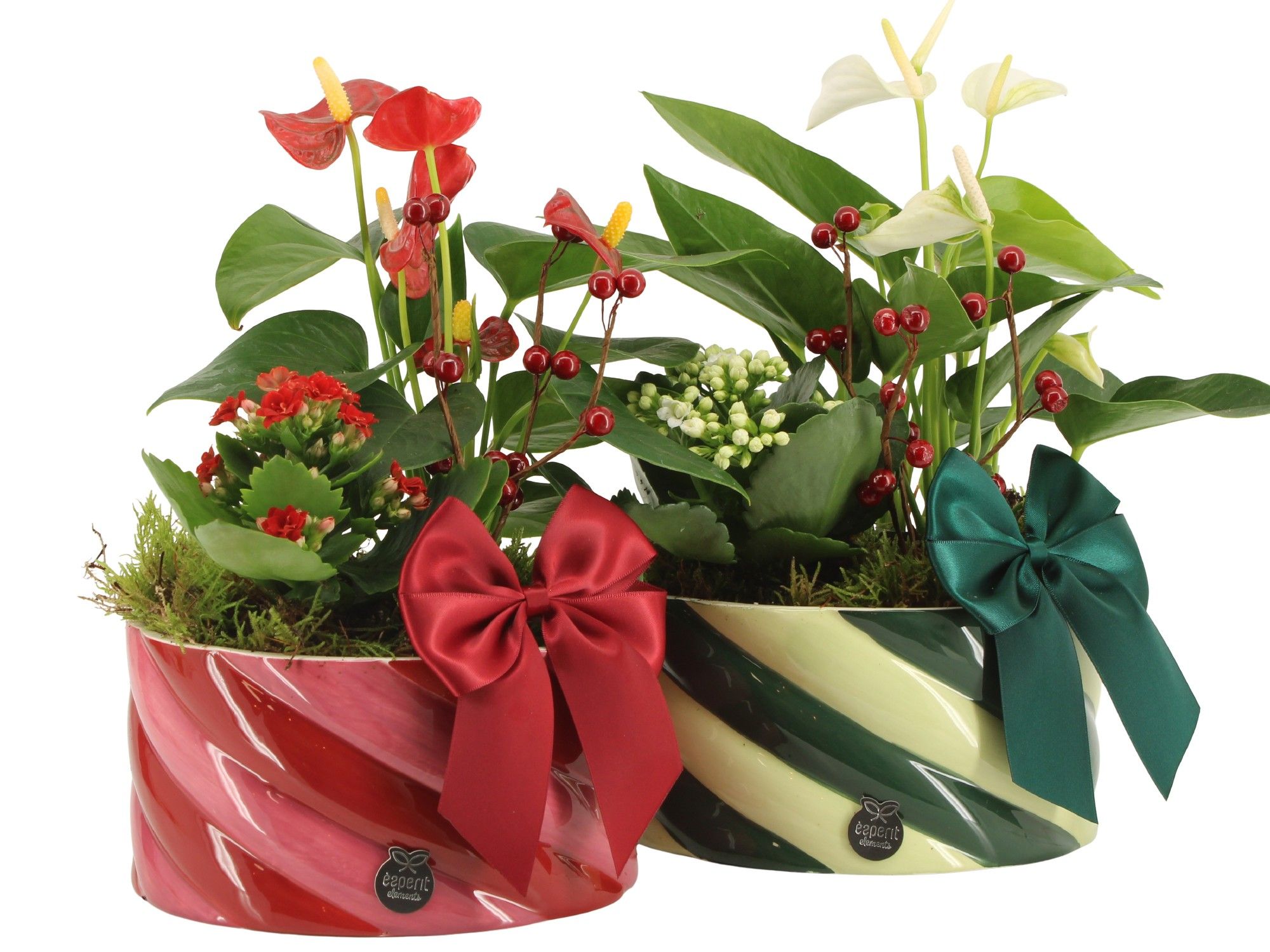 61788: X-mas arrangement, D 17