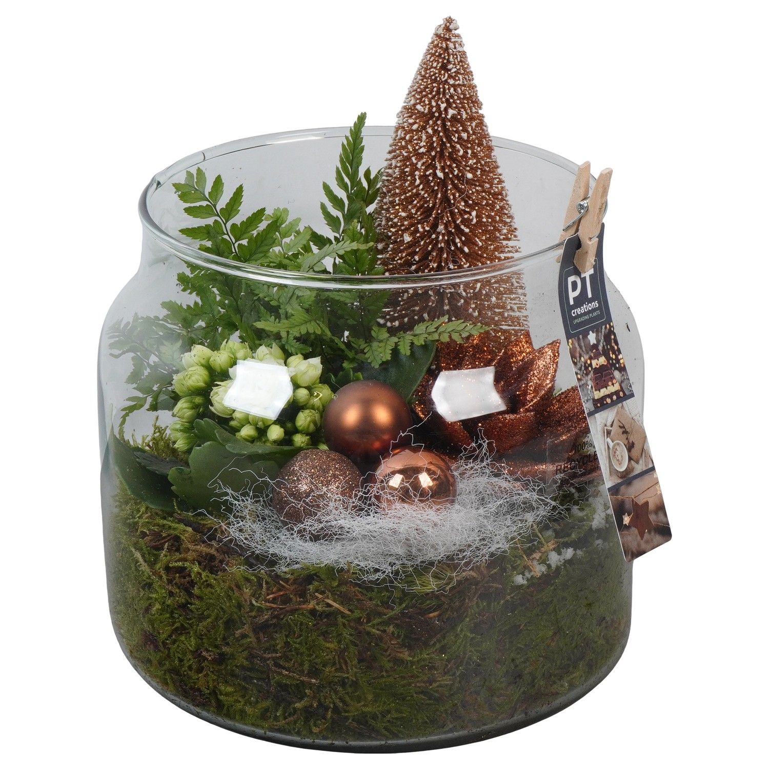 PTCHB9887 Arrangement Christmas Bronze in glazen pot, D 19 cm