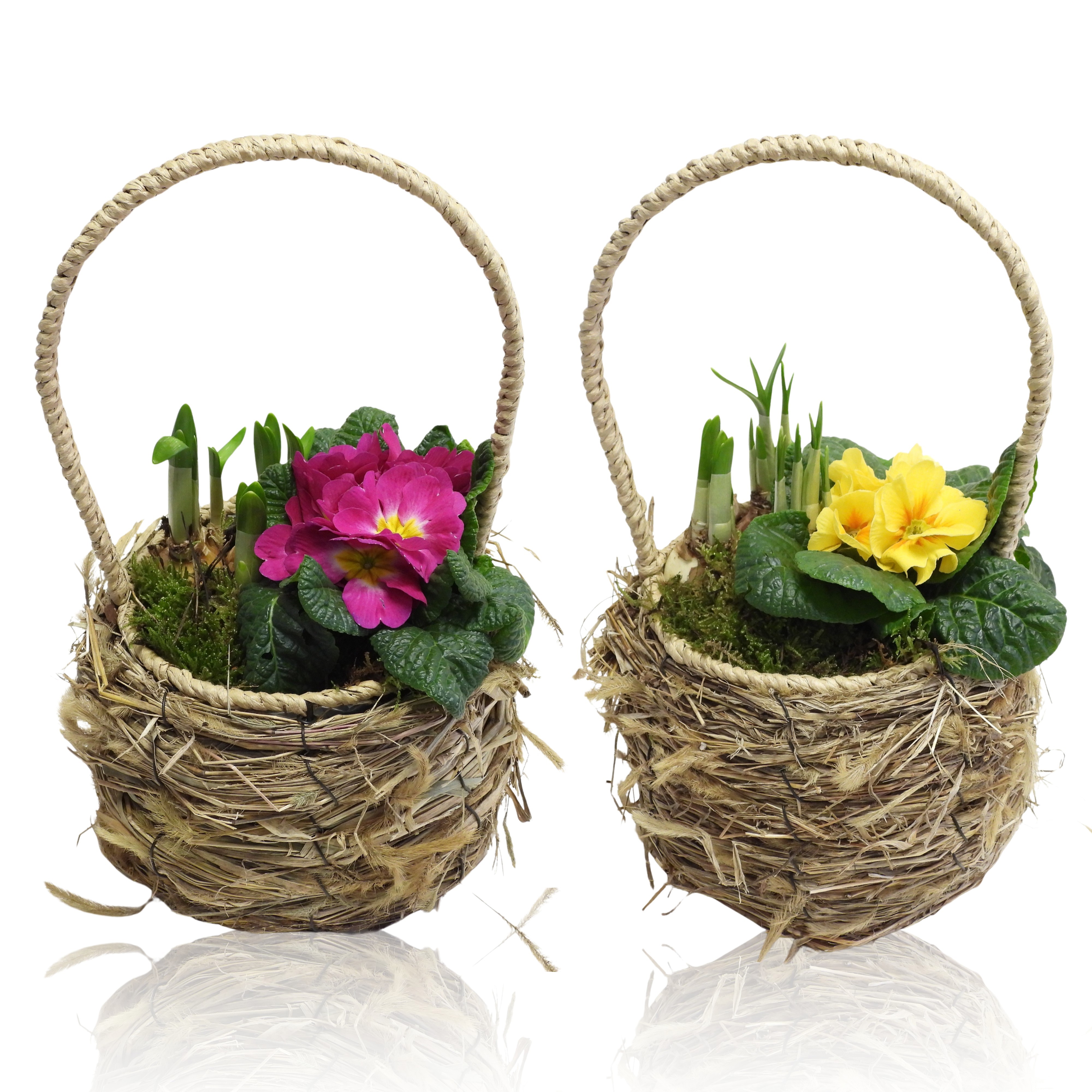 Early Spring Specials Arrangement Narcis Mand Met Hengsel 19 cm, D 19