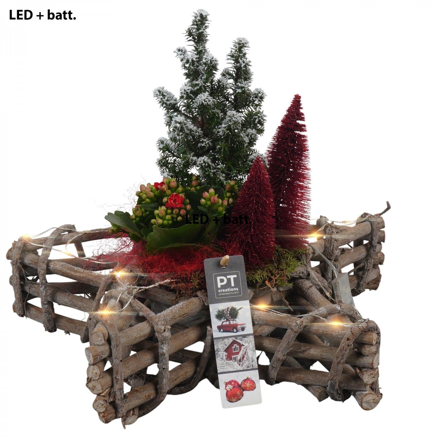 PTCHR7410 Arrangement Christmas Red in houten ster, D 33 cm