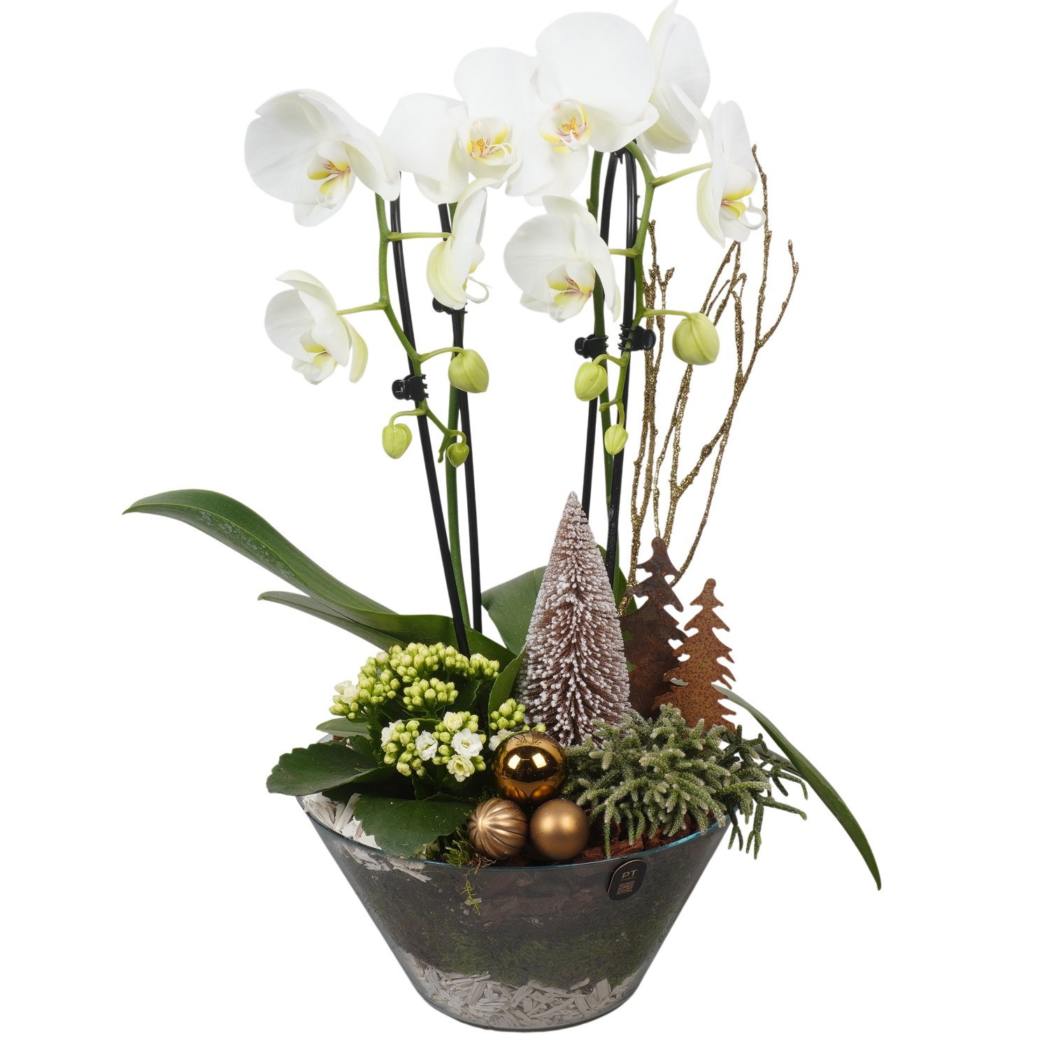 PTCHB5836 Arrangement Christmas Bronze in glas schaal, D 26