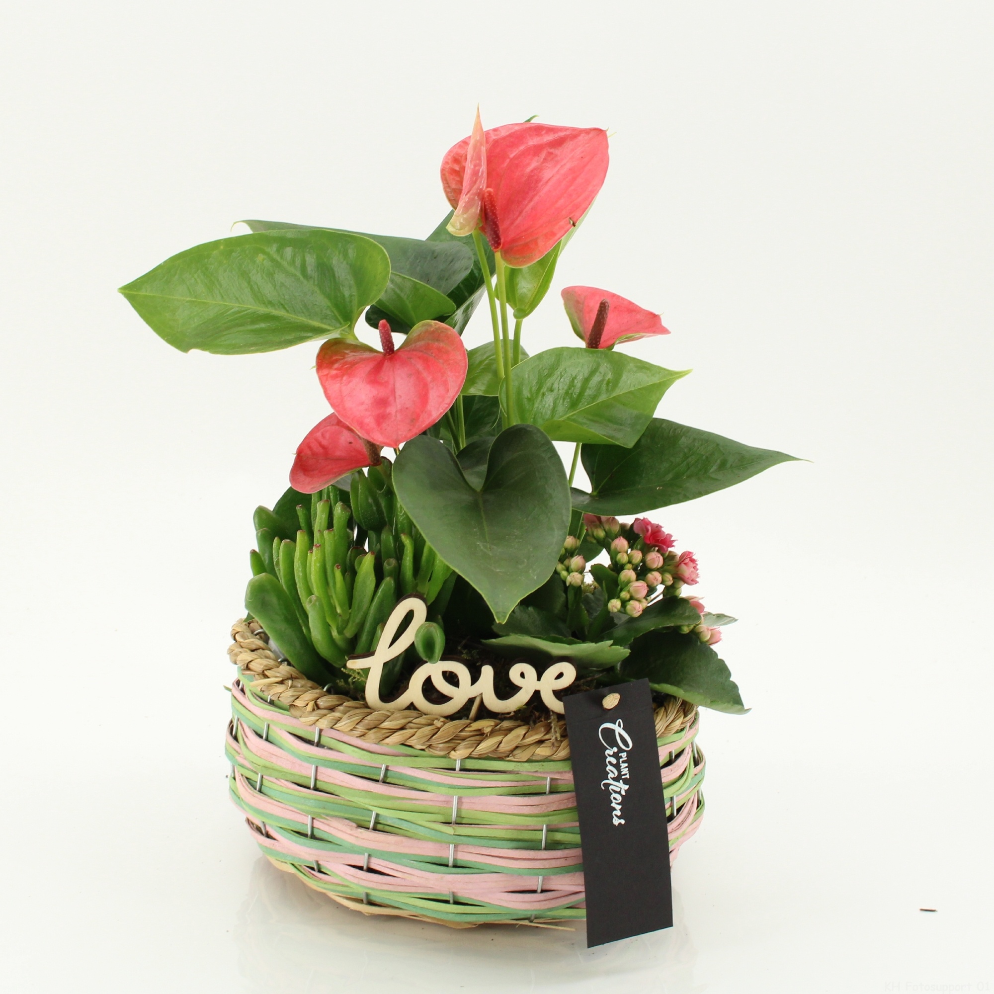 PROMO-2612 Pink Love, D 23