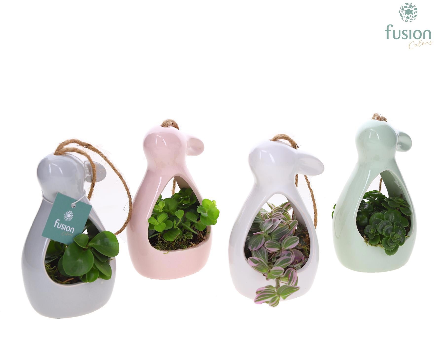 Pasen Haas keramiek 4 kleuren Small met Groen planten, D 9