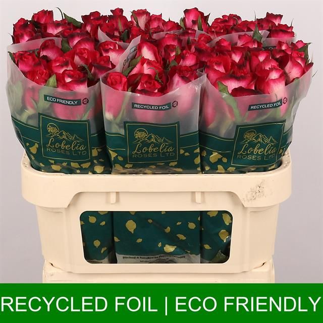 Роза од. Николетта 70, шт.