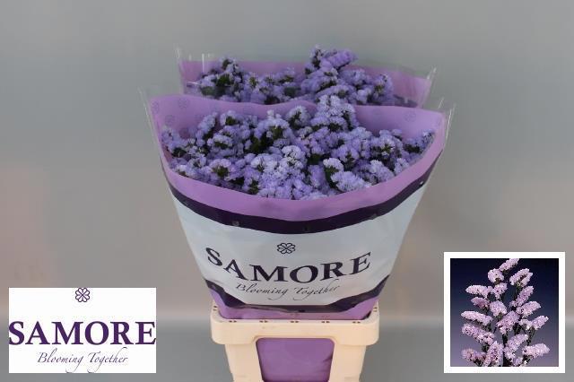 Статица Донау Бердс 80 (светло-роз.), шт.