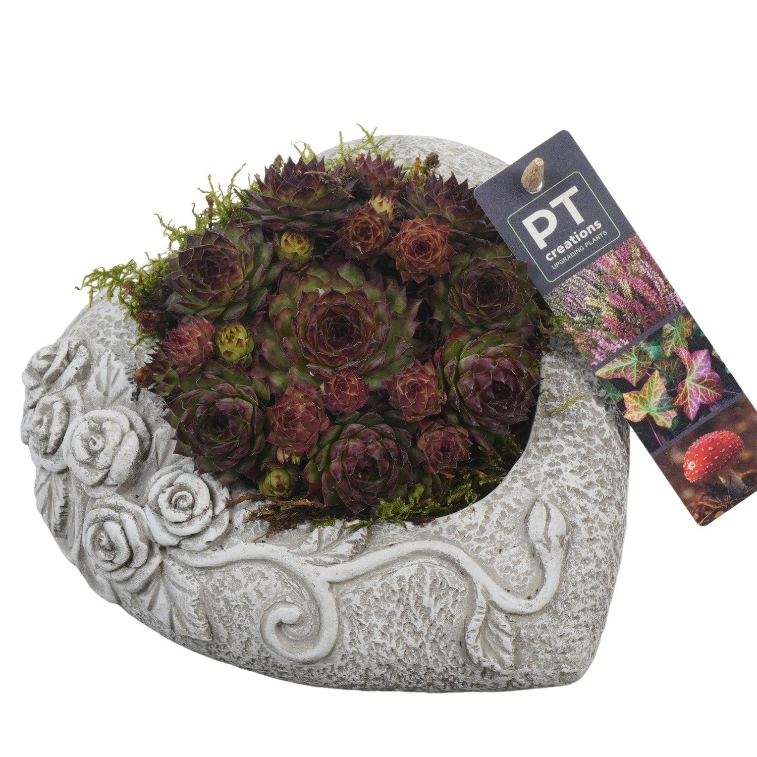 PTAH8609 Arrangement Allerheiligen in beton hart, D 18 cm PTAH8609 Arrangement Allerheiligen in beton hart, D 18 cm