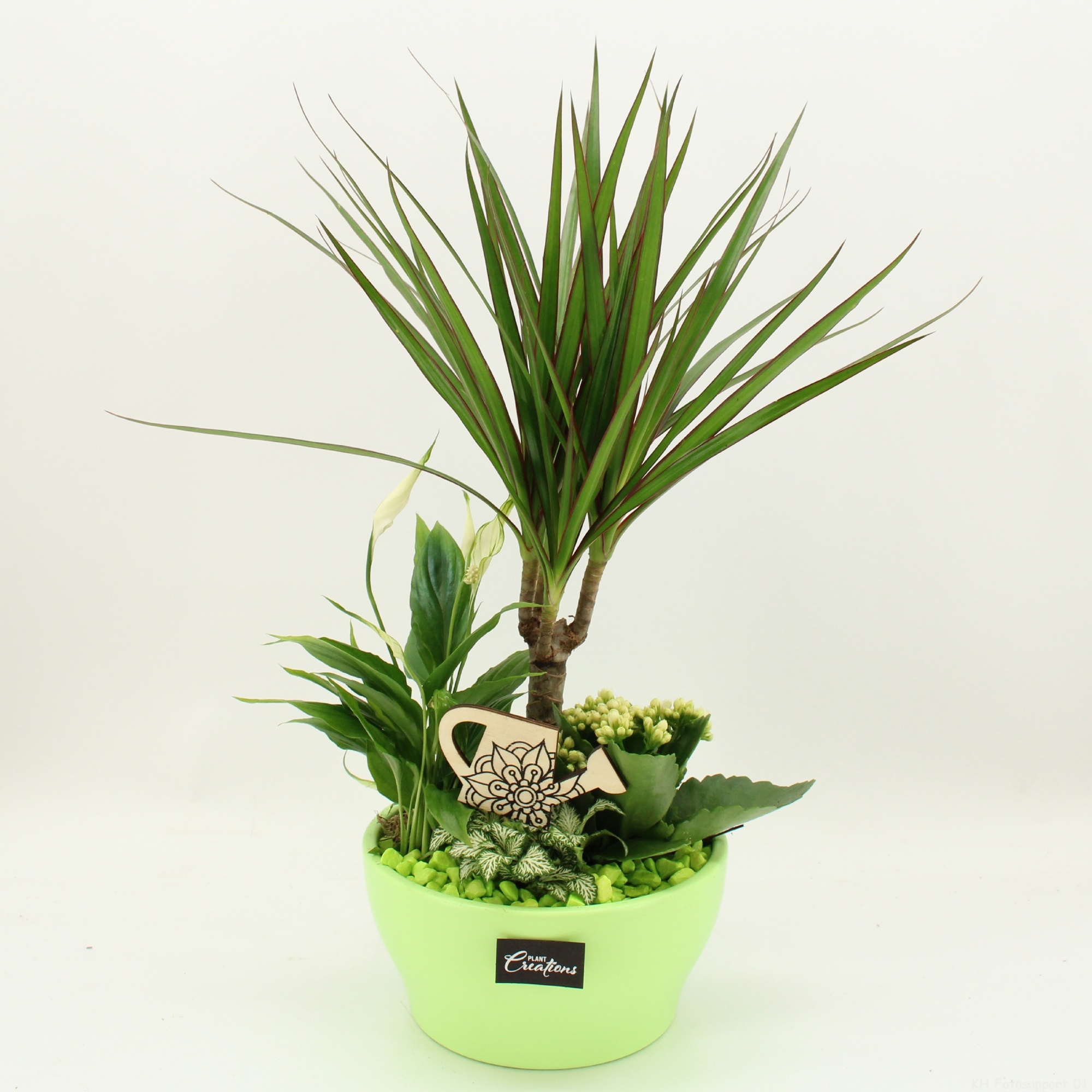 FDCR-2609GR Basic Fundamentals, D 19