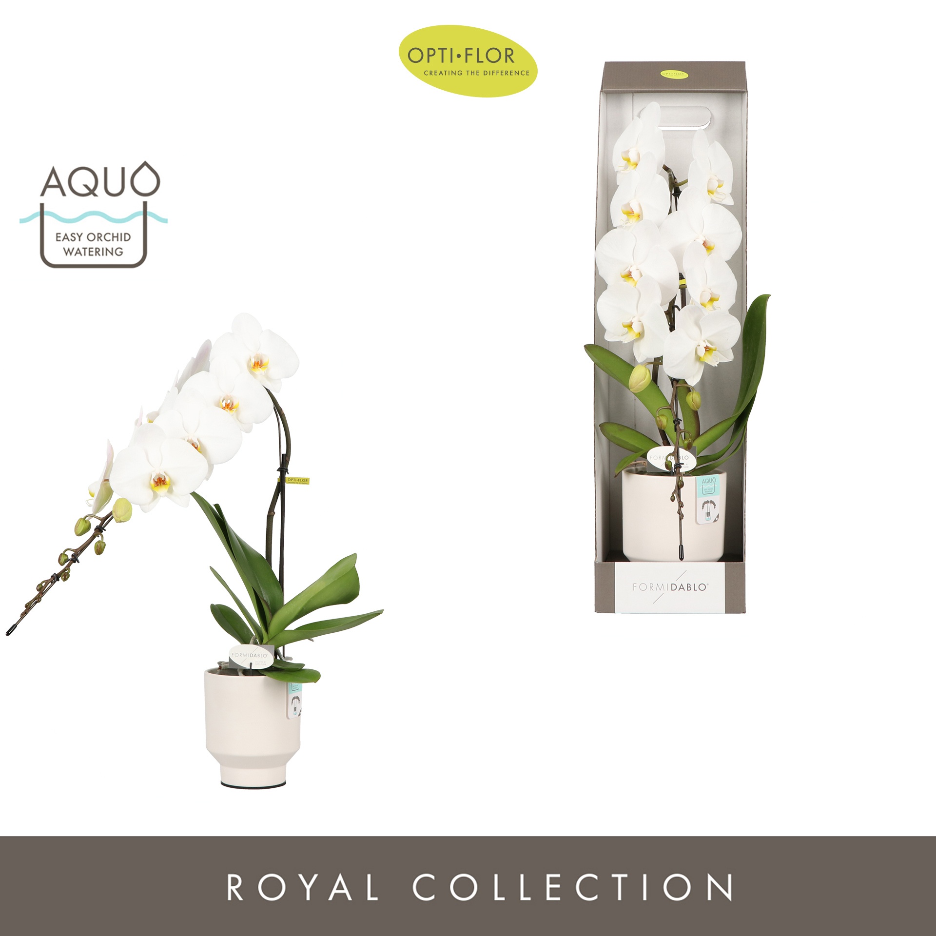 Formidablo Niagara Falls in Emilia White Aquo Showdoos, D 12