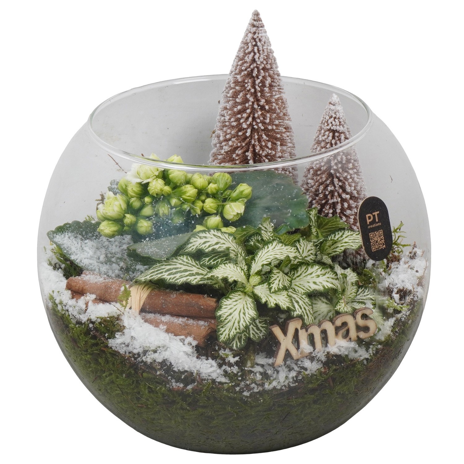 PTCHB5824 Arrangement Christmas Bronze in glazen vissenkom, D 20