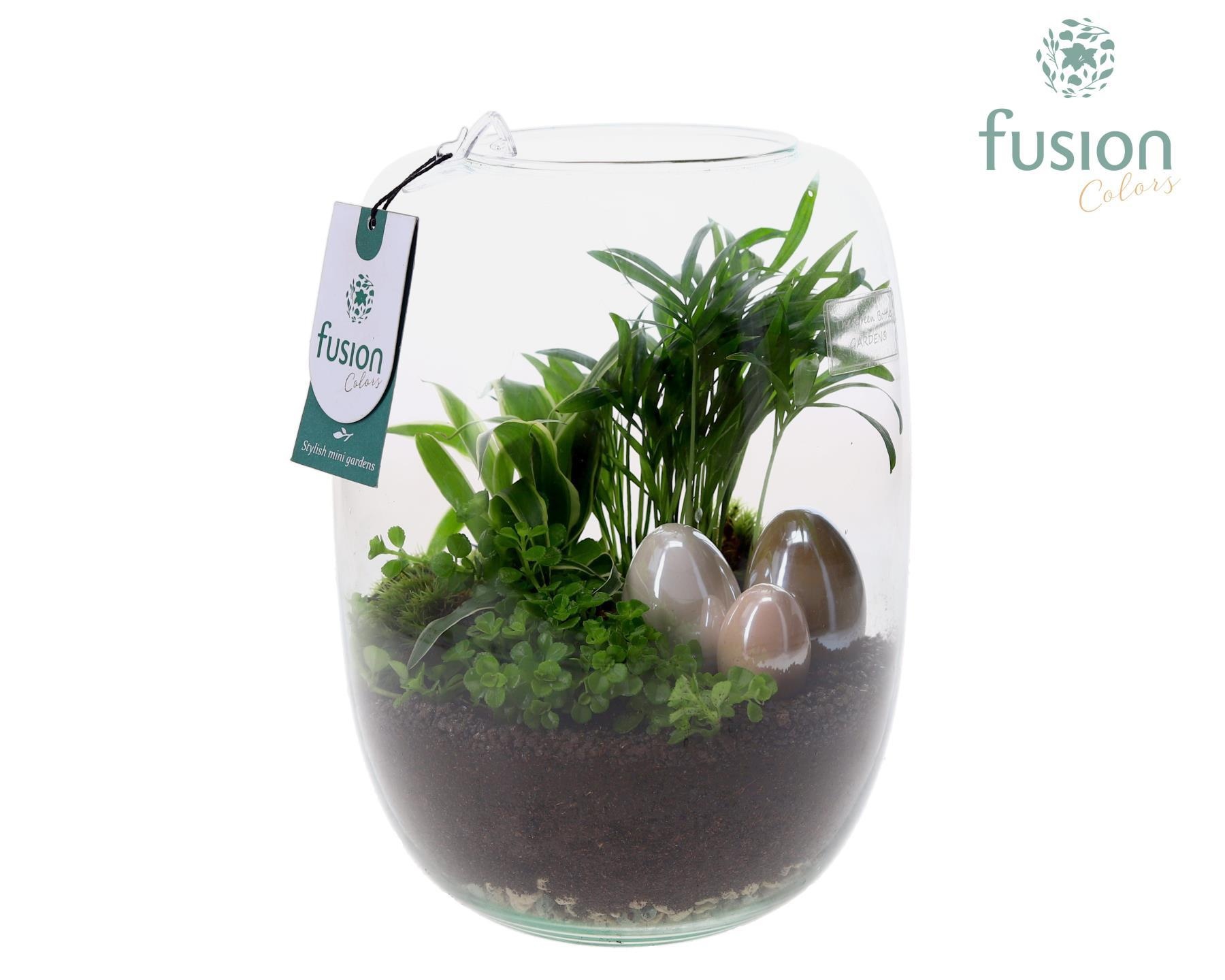 Green Bottle Isabella Large Pasen met arrangement, D 19