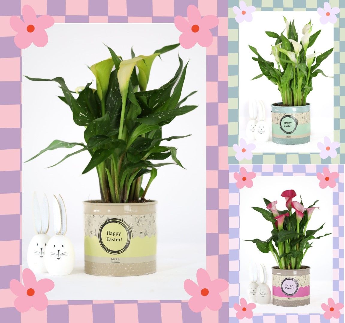 Zantedeschia mix in P&PURE Louise 4 mix with Easter sleeve, D 12