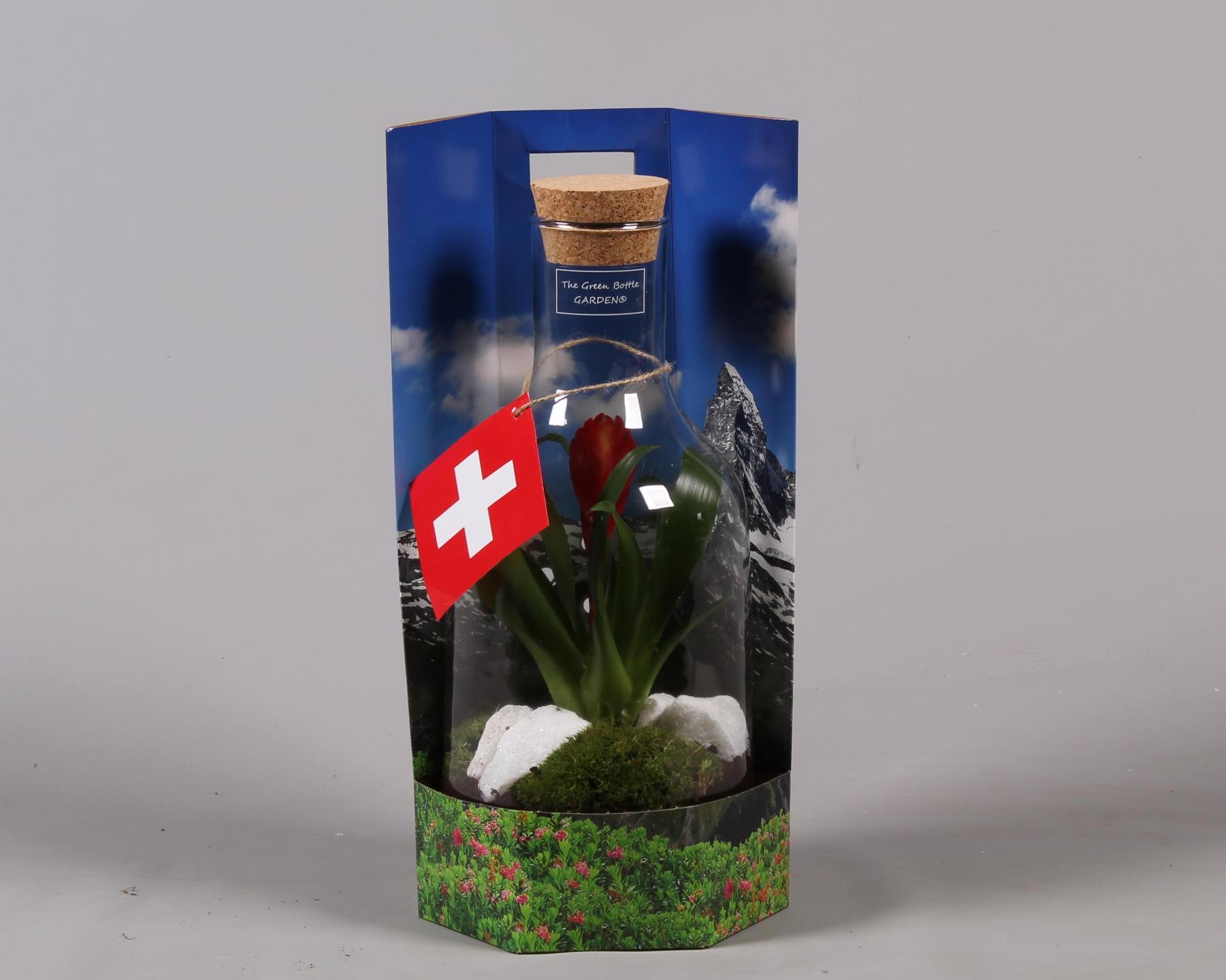 Green Bottle met Bromelia, D 15