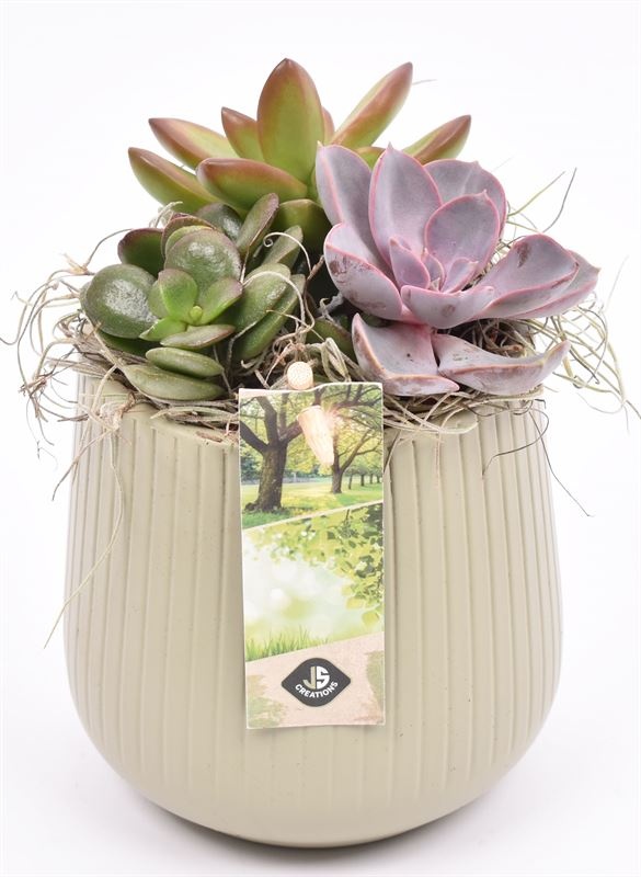 Keramiek vert.lines khaki mat 12cm, D 12