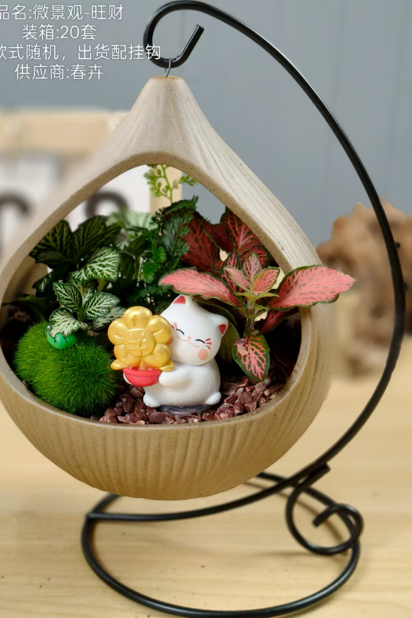 Фиттония албивенис Форчун 13 15