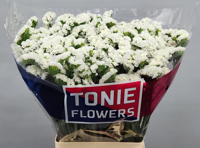 Статица Фрост Вингз 70, шт.