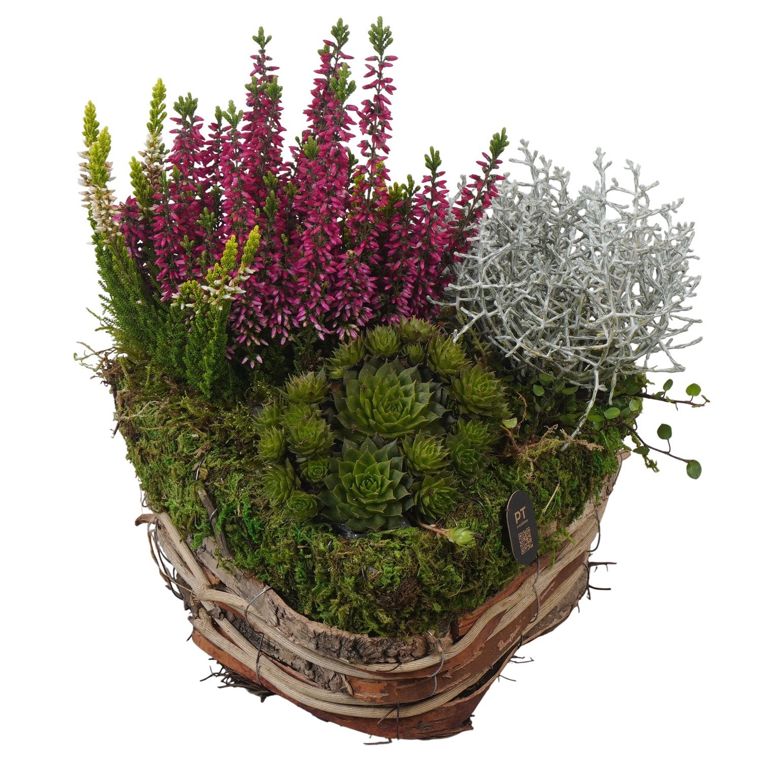 PTAH3042 Arrangement Allerheiligen in rieten hart, D 23