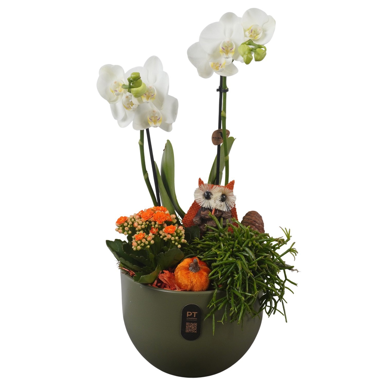 PTHI3234 Arrangement Autumn Indoor in keramiek pot, D 19