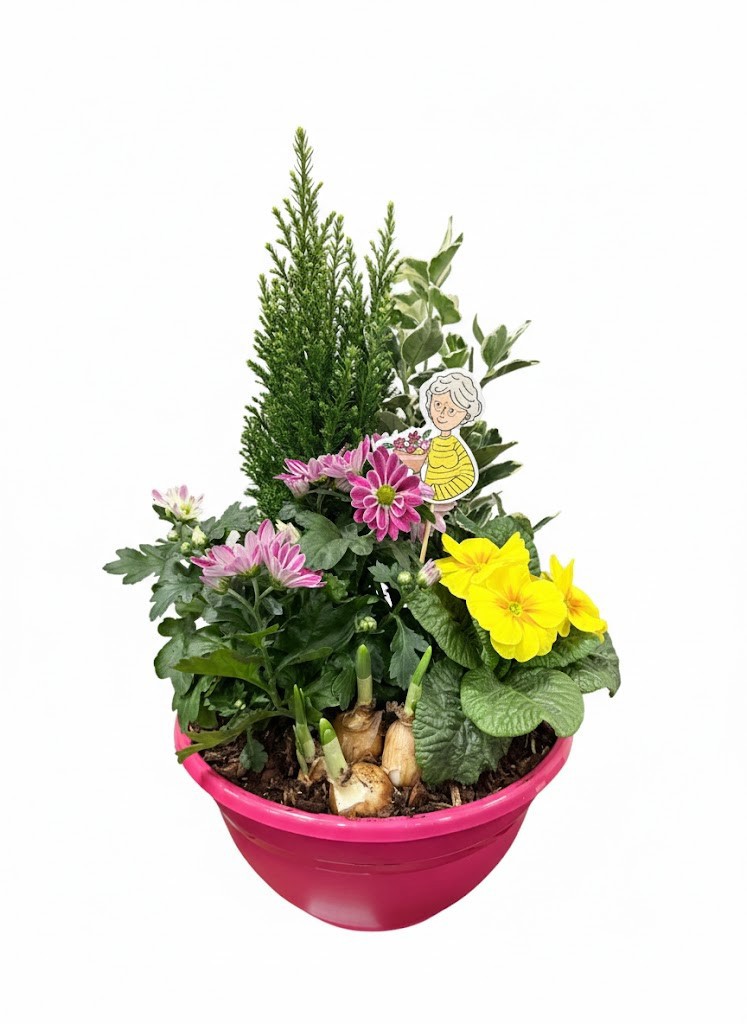 Buitenschaal arrangement GM3 Middel Fuchsia, D 27