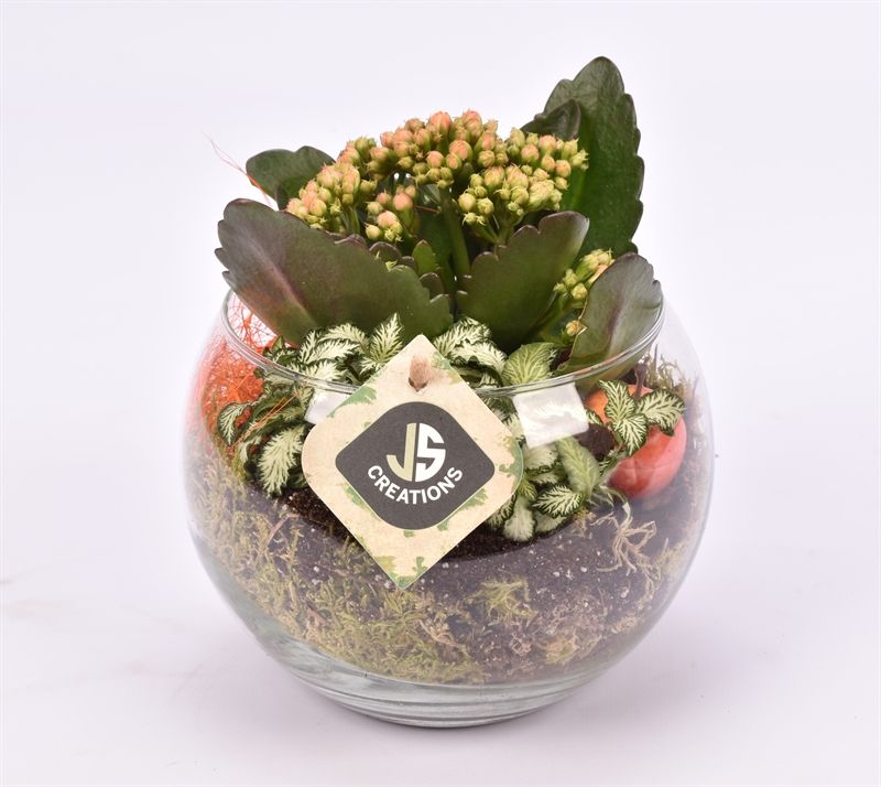 Glas bol schaal schuine top 15cm, D 16