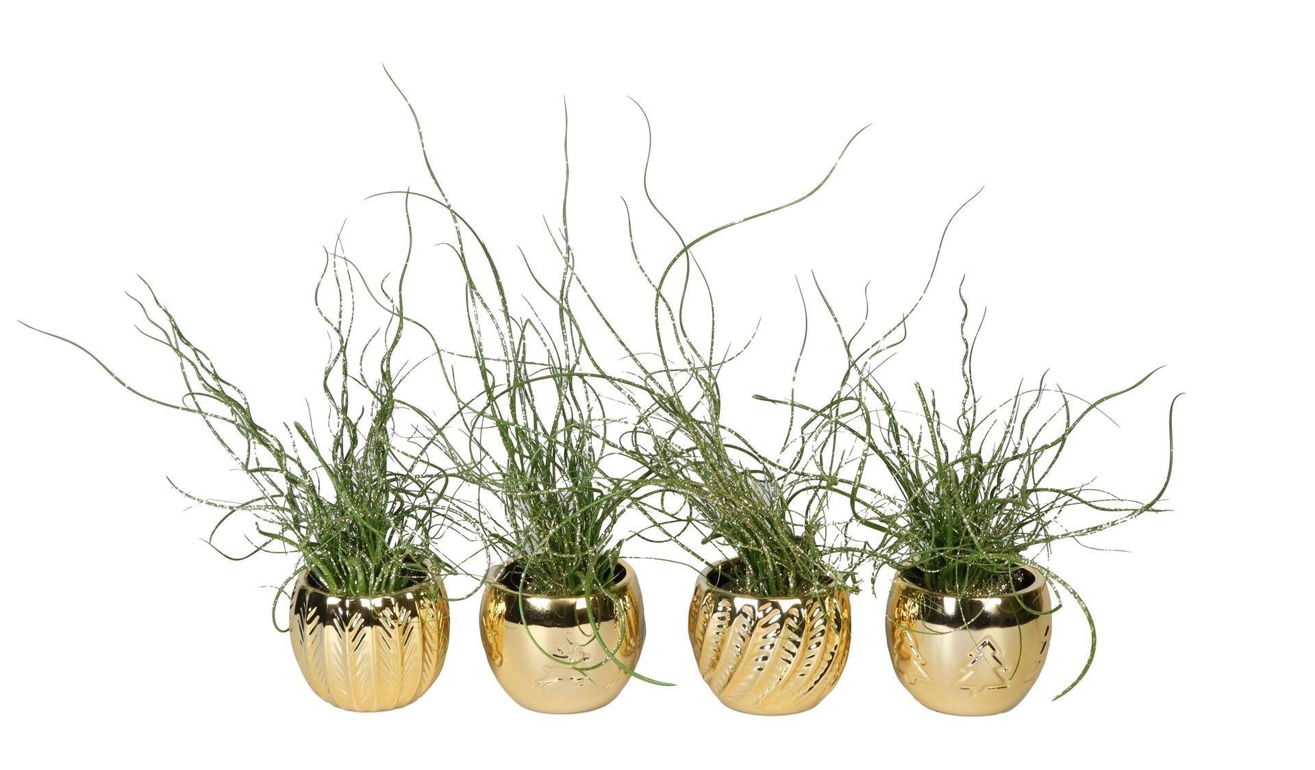 L 66417 With Juncus 'Spiralis' Glitter6 cm, D 6