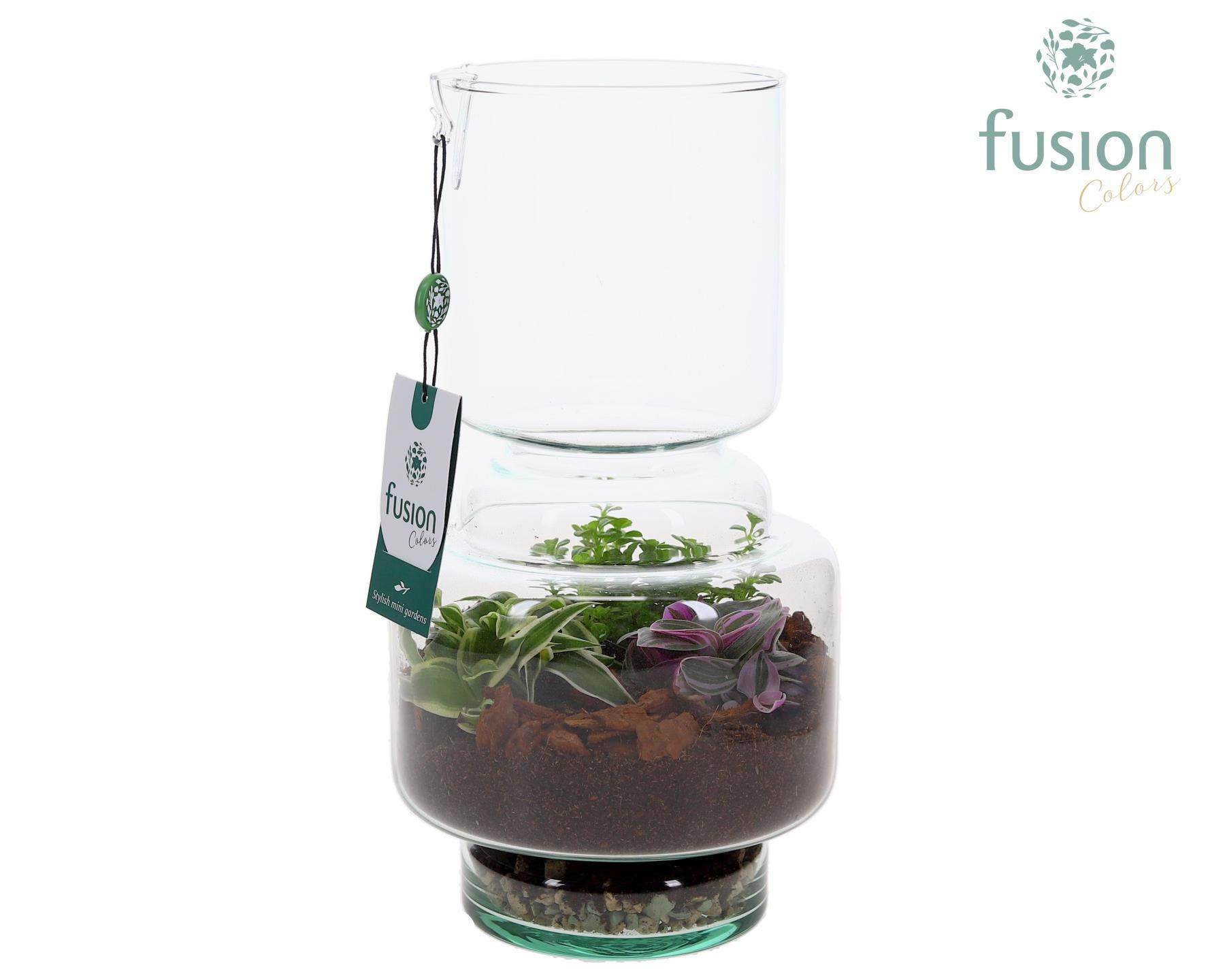 Green Bottle Lotte Medium met Terrarium arrangemet, D 16
