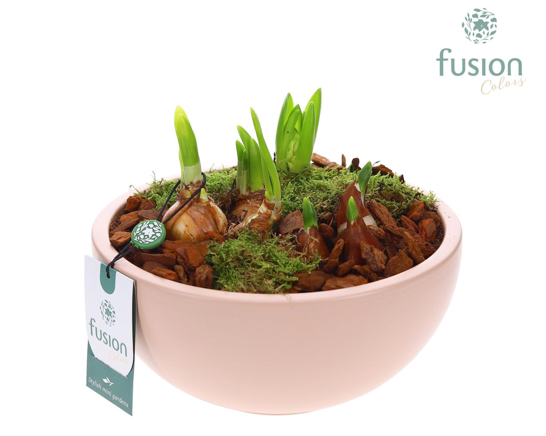 Schaal keramiek Moon Large blush pink met Bollen, D 22