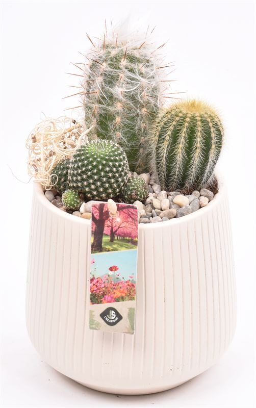 Keramiek vert.lines creme mat 14cm, D 15