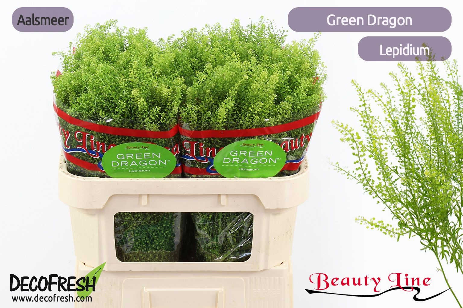 Тласпи Грин Драгон 70 (зел.), шт.