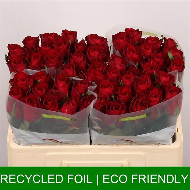 Роза од. Мадам Рэд 50, шт.