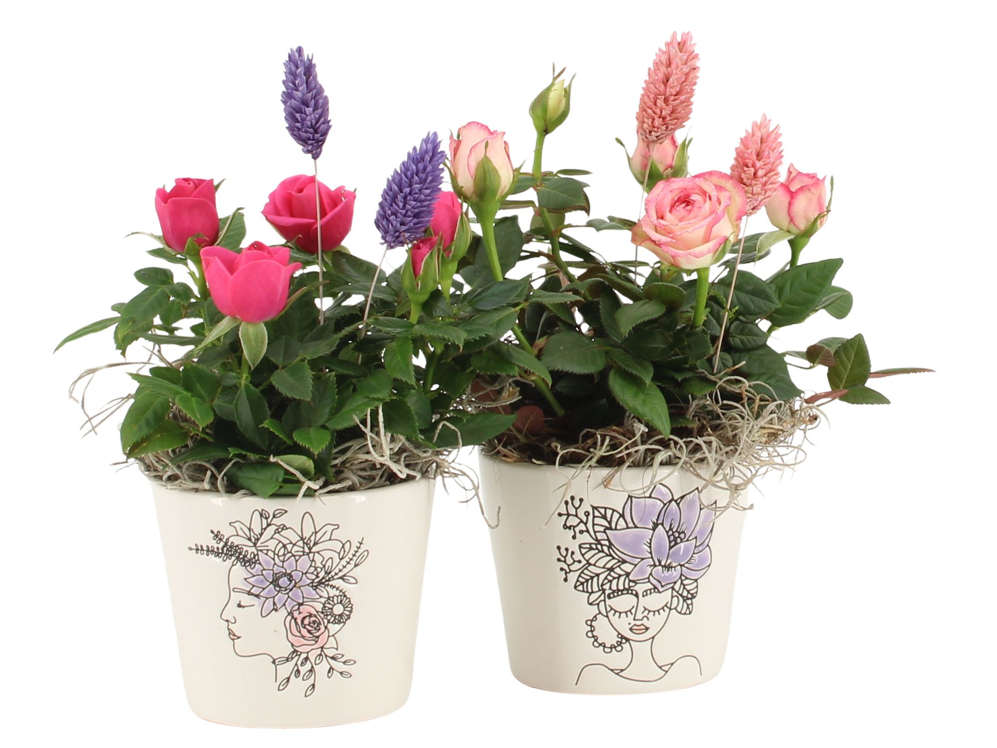 21696: Lovess arrangement, D 8