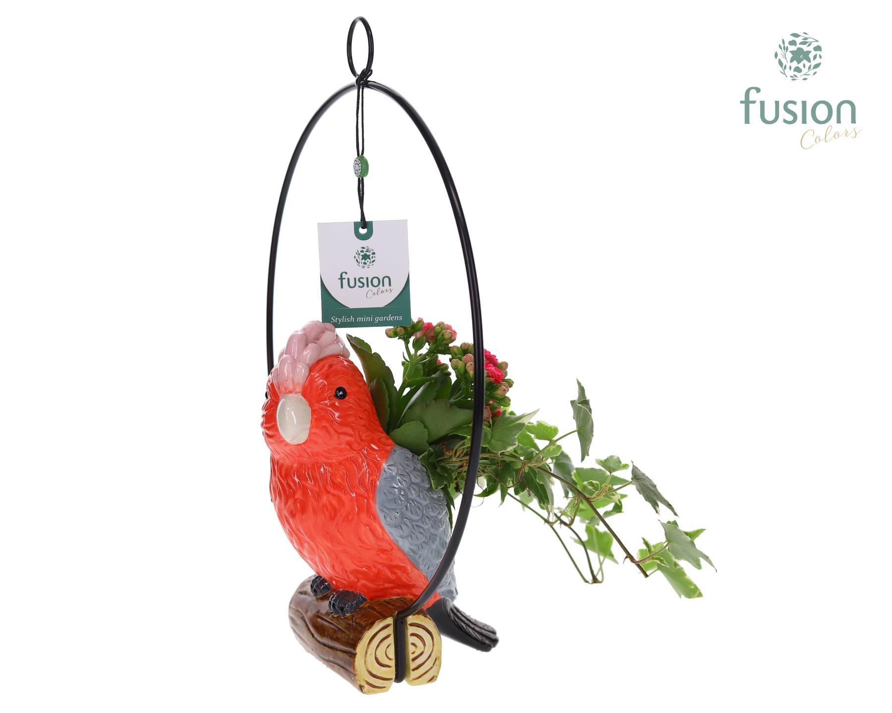 Keramiek vogels in de ring met Arrangement, D 28