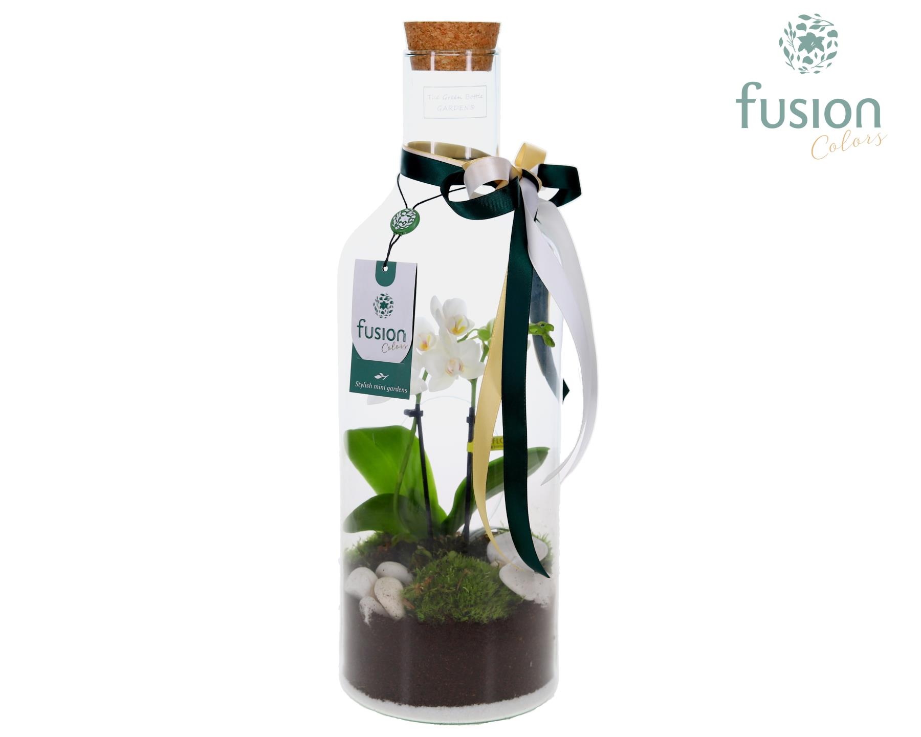 Green Bottle Fles Medium met Kerst arrangement, D 15 cm