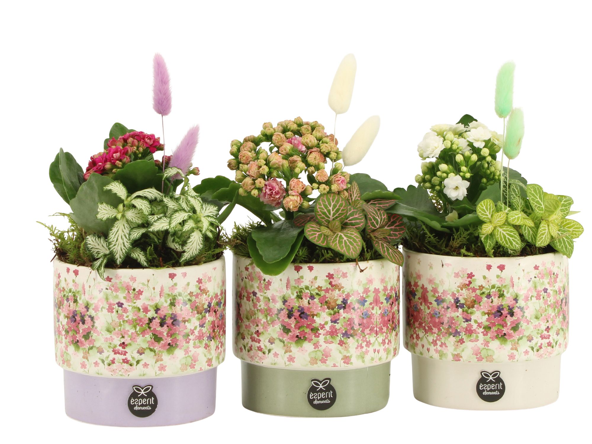 11632: Consideration arrangement, D 12 cm