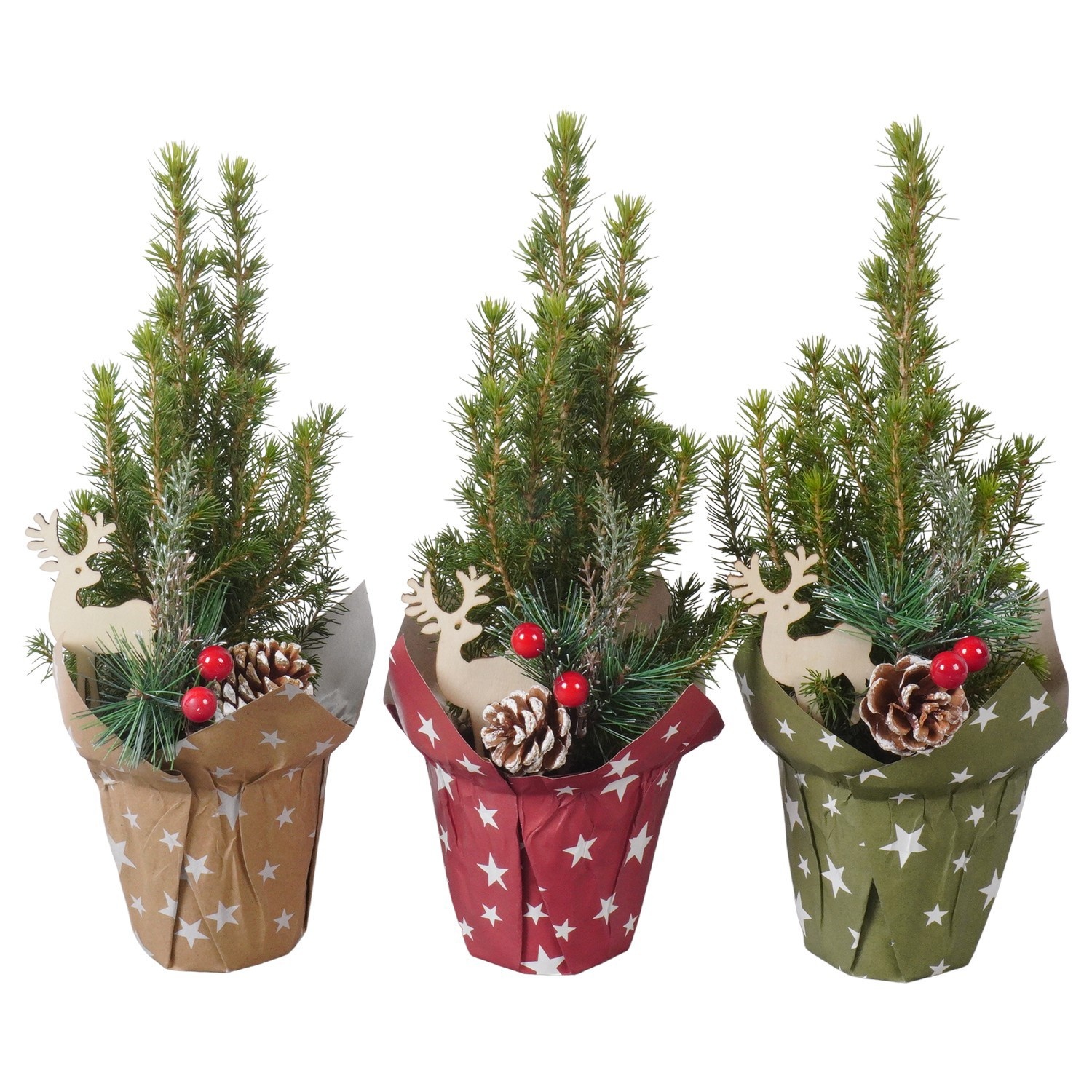 PTK26117 Conica Perfecta in papieren potcover met decoratie, D 9