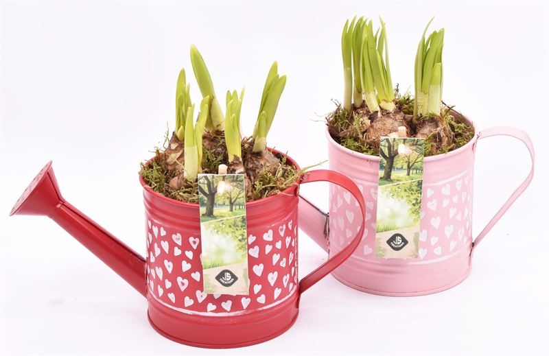 Zink gieter hart decor 24x10cm, D 24