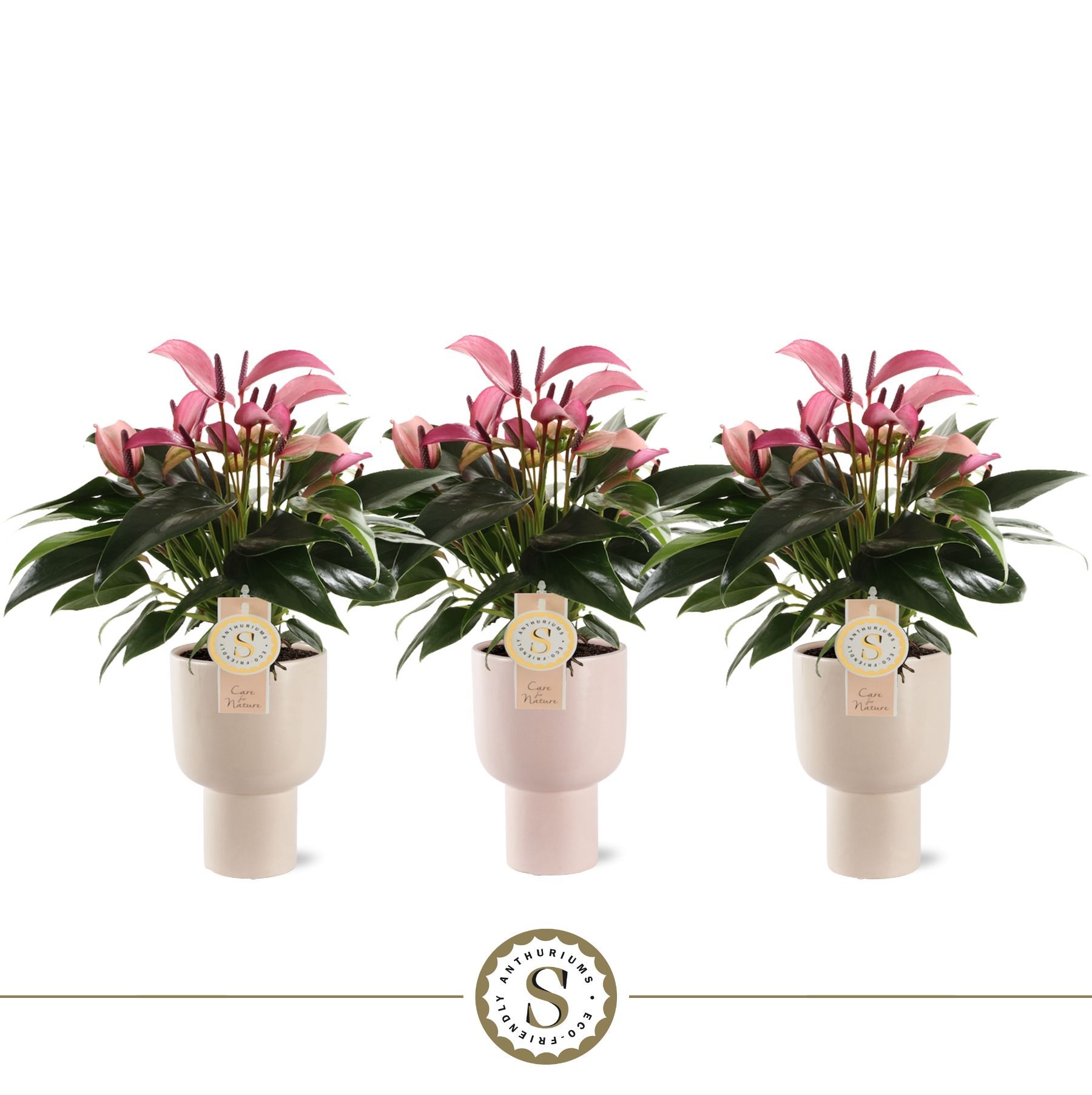 Roma Keramiek Zizou, D 12