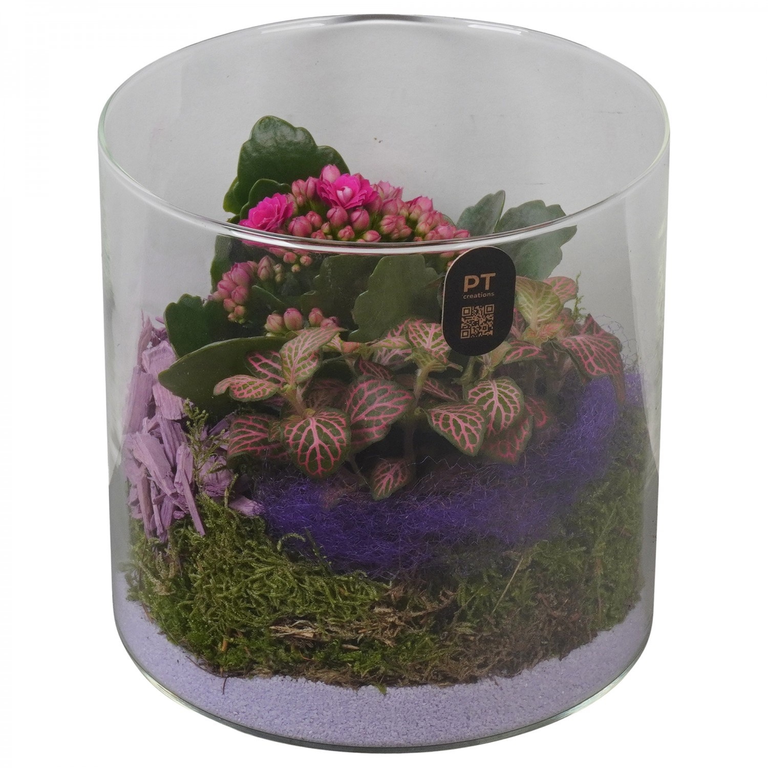 PTIG2607 Arrangement Indoor in glas cylinder, D 15