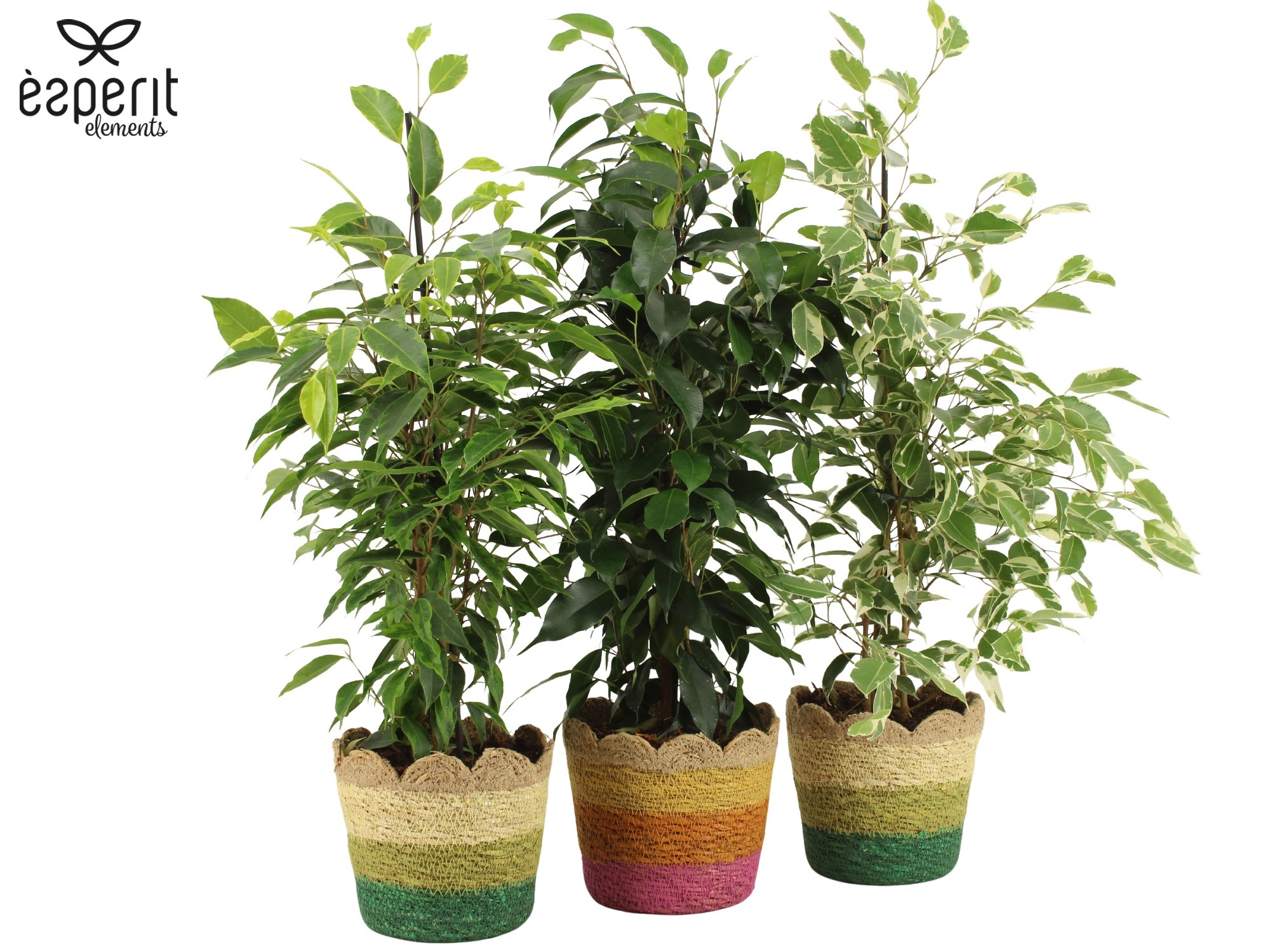 7503632: Solutionss Reinvention, D 14