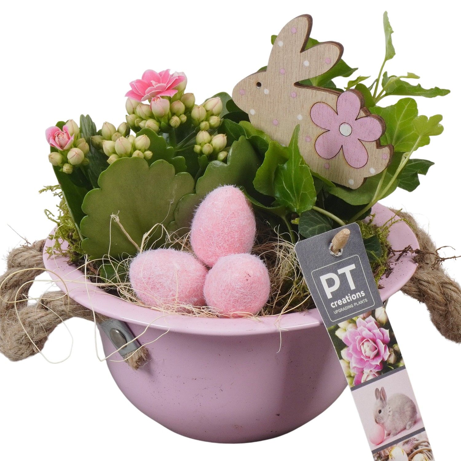 PTPB6410 Arrangement Easter in zink schaal, D 16