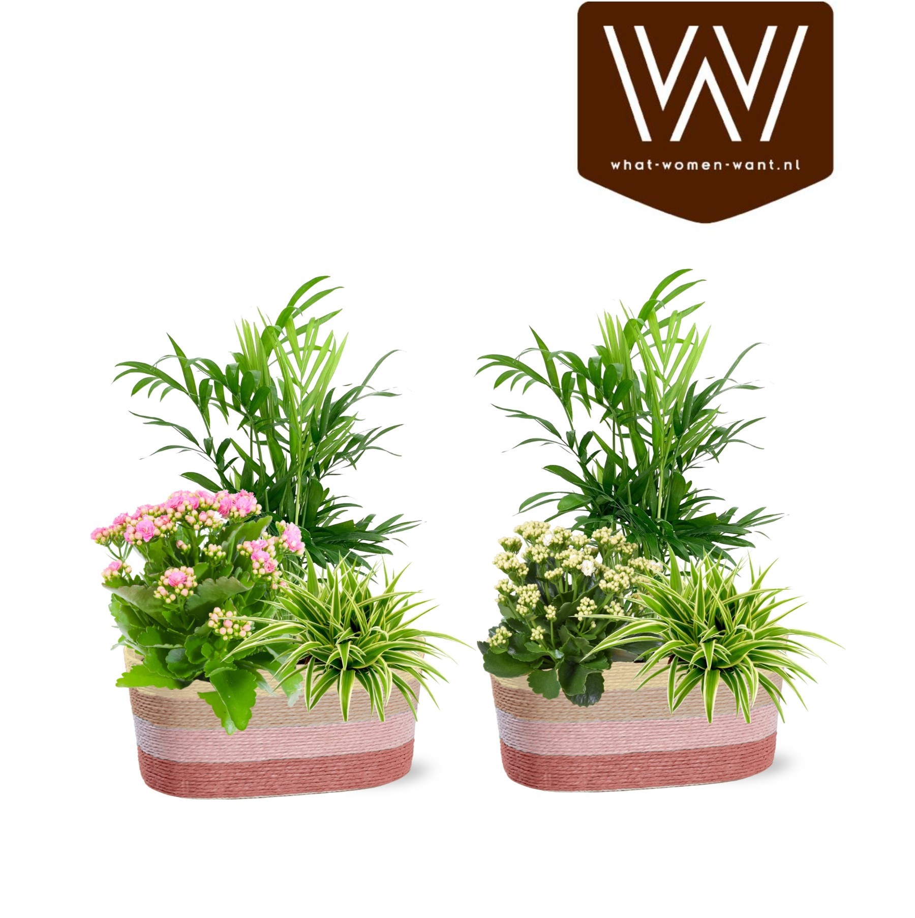 Collectie 'Sympathetic Moods' Arrangement in mand Rosalie duo, D 22