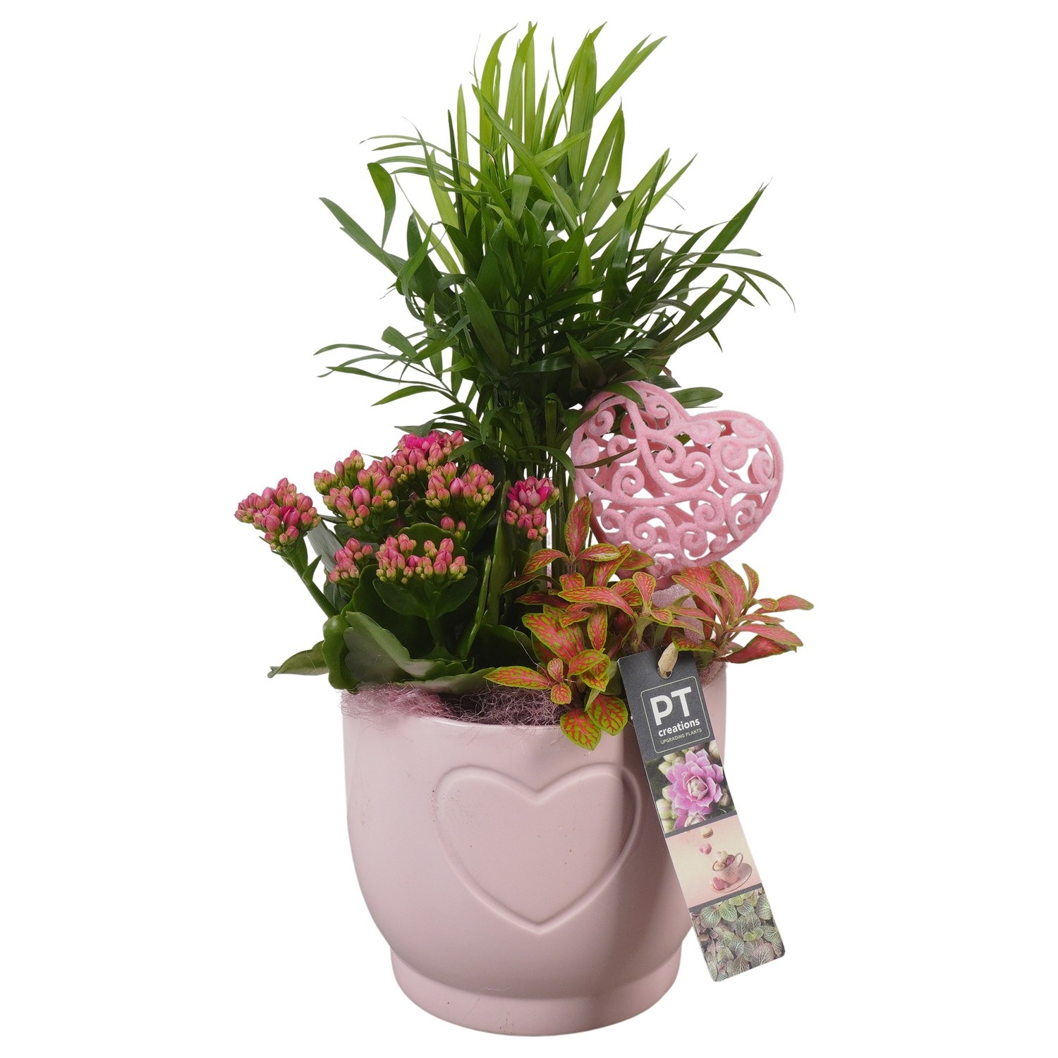 PTVMB2257 Arrangement Valentines-Mothersday in keramiek sierpot, D 14