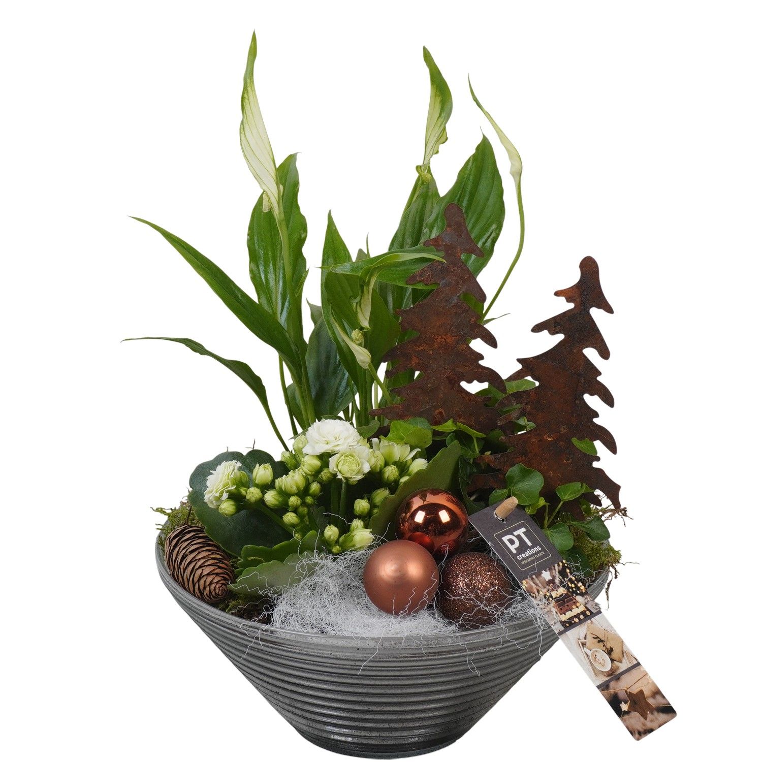 PTCHB9834 Arrangement Christmas Bronze in glas schaal, D 19 cm